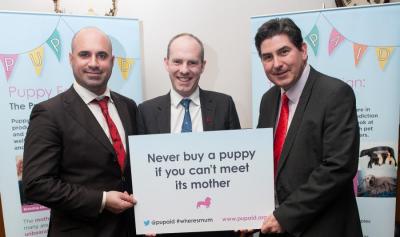 Local MP Acts To Tackle Puppy Farming