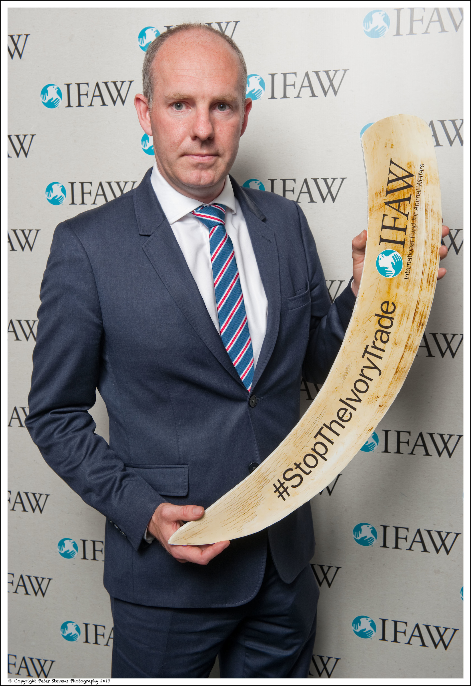 North Swindon MP Backs UK Ivory Surrender To Protect Elephants