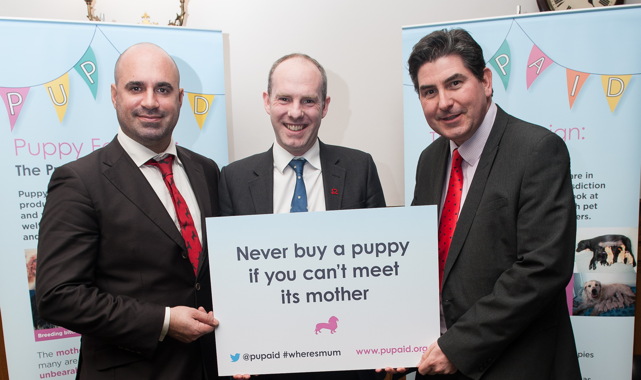 Justin's Campaign to Ban Third Party Puppy Sales One Step Closer