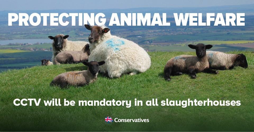 Justin Welcomes Announcement CCTV Will Be Compulsory In Slaughterhouses