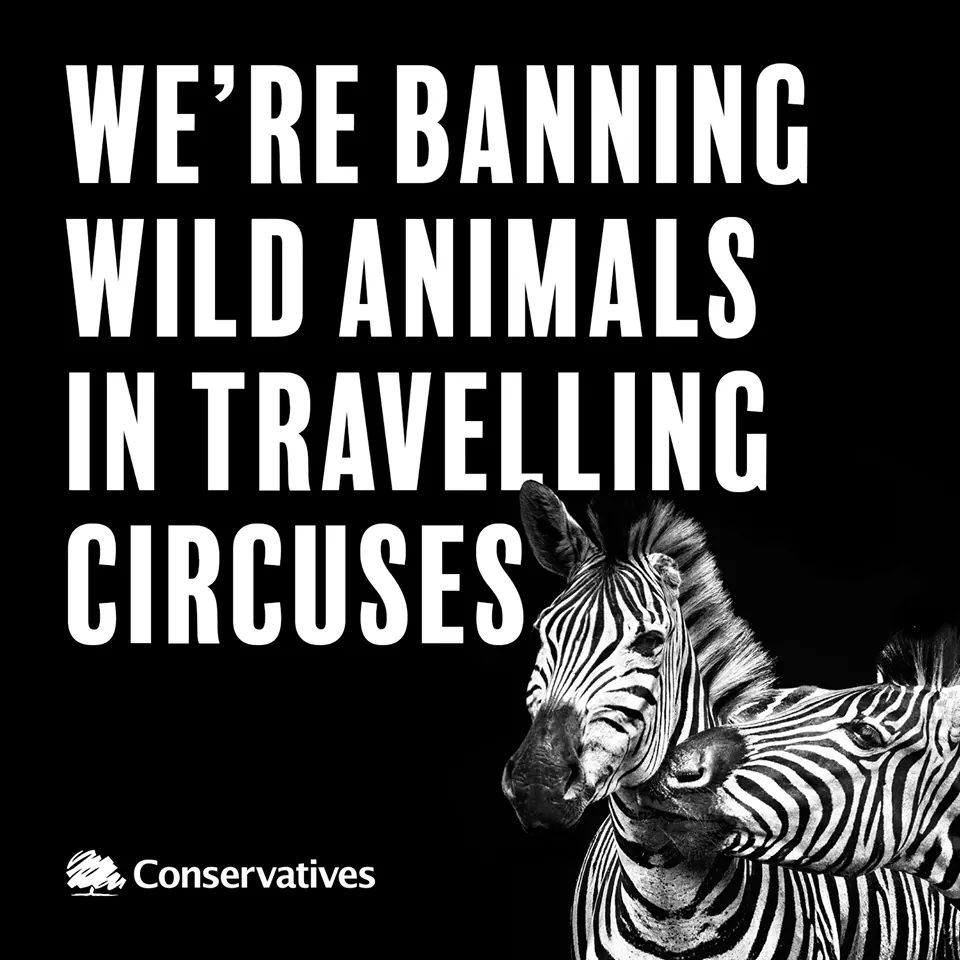 North Swindon MP Welcomes New Law To Ban Use Of Wild Animals In Circuses